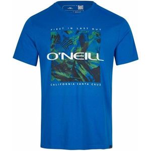 O'Neill CRAZY Pánské tričko, modrá, velikost obraz