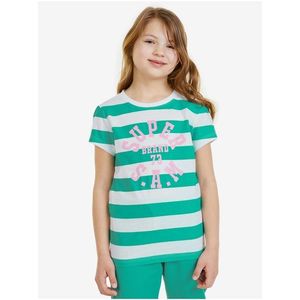 Bílo-zelené dětské pruhované tričko SAM 73 Siobhan obraz