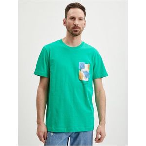 Zelené pánské tričko Tom Tailor Denim - Pánské obraz