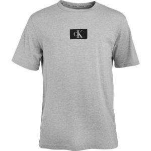 Calvin Klein ´96 GRAPHIC TEES-S/S CREW NECK Pánské tričko, šedá, velikost obraz