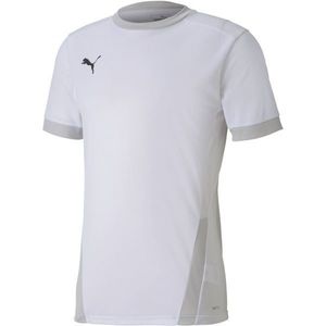 Puma TEAM GOAL 23 TEE Pánské sportovní triko, bílá, velikost obraz