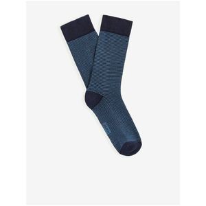 Tmavě modré pánské pruhované ponožky Celio Vicaire obraz