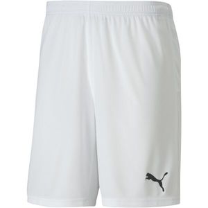 Puma TEAM GOAL 23 KNIT SHORTS Pánské kraťasy, bílá, velikost obraz