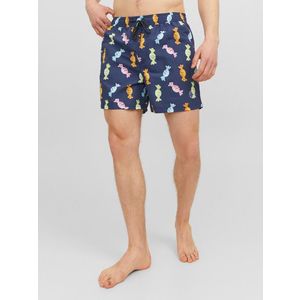 Jack & Jones Fiji Plavky Modrá obraz