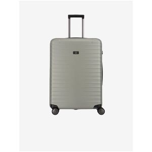 Béžový cestovní kufr Titan Litron M obraz