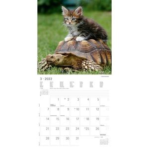Kalendář zvířecí přátelé uni 2023 obraz