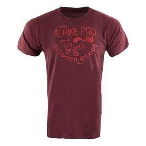 Pánské tričko ALPINE PRO obraz