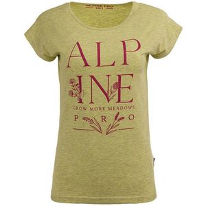 Dámské stylové tričko Alpine Pro obraz