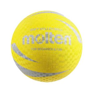 Měkký volejbalový míč obraz