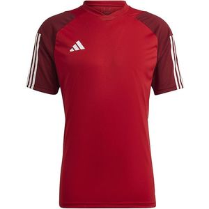 Pánské sportovní tričko Adidas obraz