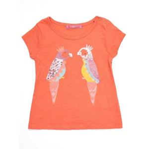Korálové dětské tričko s papoušky obraz