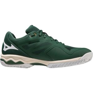 Mizuno WAVE EXCEED LIGHT CC Pánská běžecká obuv, zelená, velikost 44.5 obraz