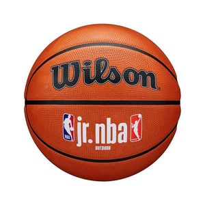 Basketbal míč Wilson obraz