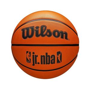 Sportovní míč Wilson obraz