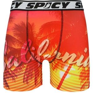 FREEGUN SPICY Pánské boxerky, mix, velikost XL obraz