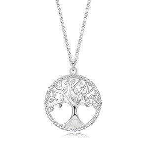 Náhrdelník ze stříbra 925, nastavitelný - diamanty, strom života v kruhu obraz