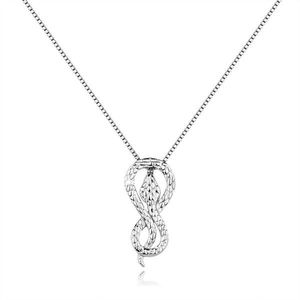 Stříbrný náhrdelník 925 - strukturovaný had stočený do symbolu nekonečna obraz