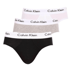 Calvin Klein 3 PACK - pánské slipy U2661G-998 M obraz