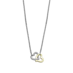 Lotus Style Romantický ocelový bicolor náhrdelník Woman`s Heart LS2117-1/1 obraz