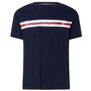Tommy Hilfiger Pánské triko Regular Fit UM0UM01915-DW5 L obraz