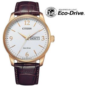 Citizen Eco-Drive Classic BM8553-16AE obraz