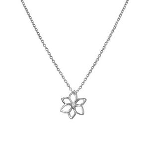 Hot Diamonds Jemný stříbrný náhrdelník s diamantem Kytička Diamond Amulets DP894 (řetízek, přívěsek) obraz