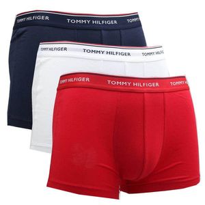 Tommy Hilfiger 3 PACK - pánské boxerky 1U87903842-611 L obraz
