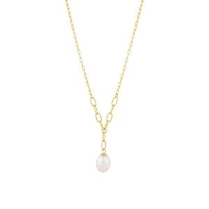 Preciosa Něžný pozlacený náhrdelník s pravou perlou Pearl Heart 5356Y01 obraz