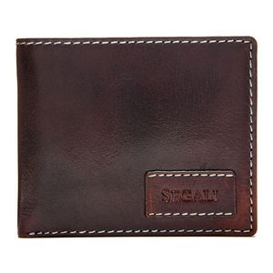 SEGALI Pánská kožená peněženka 1031 brown obraz