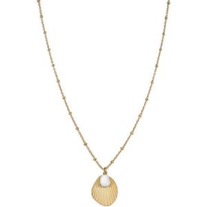 Rosefield Pozlacený ocelový náhrdelník s mušlí Amber JSPNG-J159 obraz