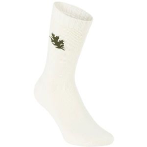 NATURA VIDA REGULAR NATUREL Pánské ponožky, bílá, veľkosť 35-38 obraz