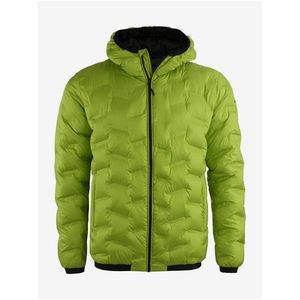Zelená pánská prošívaná zimní bunda ALPINE PRO Kredas obraz