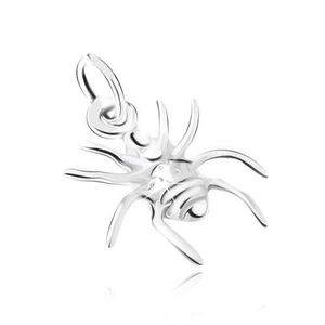 Stříbrný 925 přívěsek, pavouk obraz