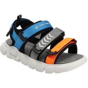 Unisex sandále Alpine Pro obraz