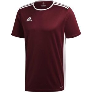 adidas ENTRADA 18 JSY Pánský fotbalový dres, vínová, velikost obraz