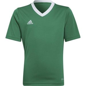 adidas ENTRADA 22 JERSEY Juniorský fotbalový dres, zelená, velikost obraz