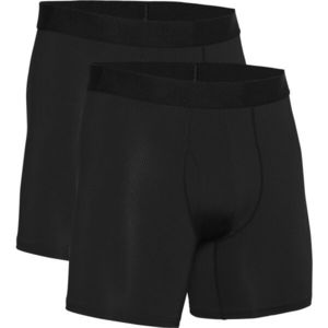 Pánské boxerky Under Armour Tech 6in 2 Pack obraz