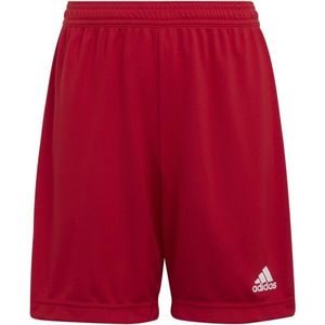 adidas ENTRADA 22 SHORTS Juniorské fotbalové šortky, červená, velikost obraz