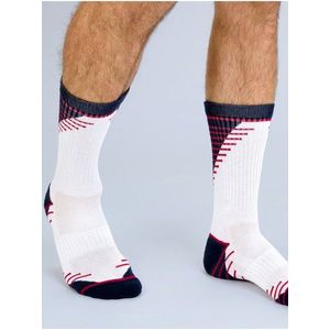 Pánské sportovní ponožky Barva: tmavě modrá obraz