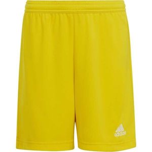 adidas ENTRADA 22 SHORTS Juniorské fotbalové šortky, žlutá, velikost obraz