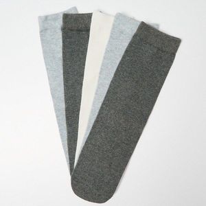 House - Sada 5 párů dlouhých ponožek - Vícebarevná obraz