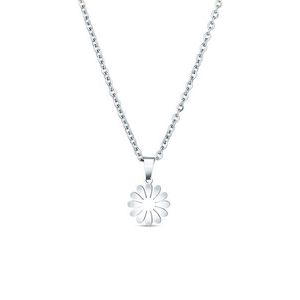 Vuch Krásný ocelový náhrdelník Květina Riterra Silver obraz