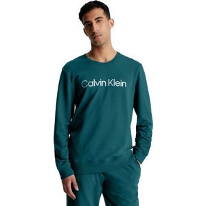 Calvin Klein Pánská mikina NM2265E-CA4 XL obraz