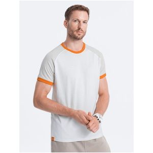 Šedo-bílé pánské tričko Ombre Clothing Reglan obraz