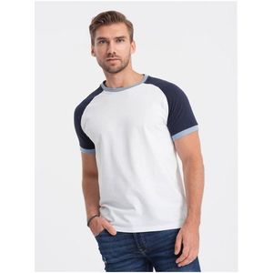 Modro-bílé pánské tričko Ombre Clothing Reglan obraz