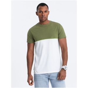 Bílo-zelené pánské tričko Ombre Clothing obraz