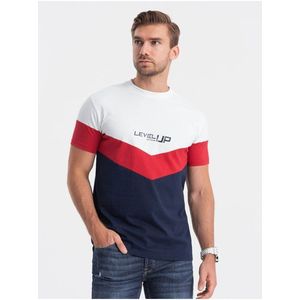 Červeno-modré pánské tričko s nápisem Ombre Clothing obraz