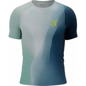 Compressport PERFORMANCE SS TSHIRT Pánské běžecké triko, bílá, velikost obraz