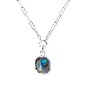 Decadorn Okouzlující náhrdelník s labradoritem + stříbrný řetízek zdarma obraz