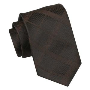 Klasická hnědá pánská kravata Alties obraz